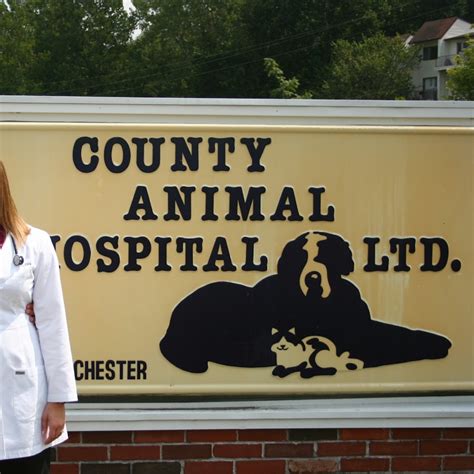 County animal hospital - County Animal Hospital. Serving West County, MO Since 1948. Our Veterinary Hospital serves Ballwin & Manchester in West County, Missouri, and is pleased to provide a wide …